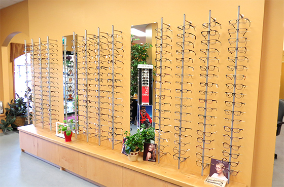 contact-lens-fitter-sechelt-licensed-optician